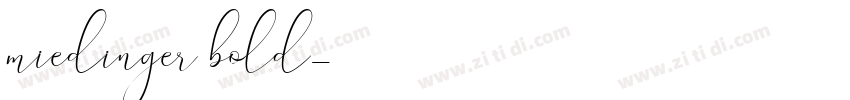 miedinger bold字体转换